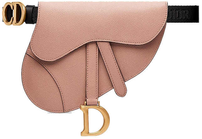 Dior Saddle Belt Bag Review 