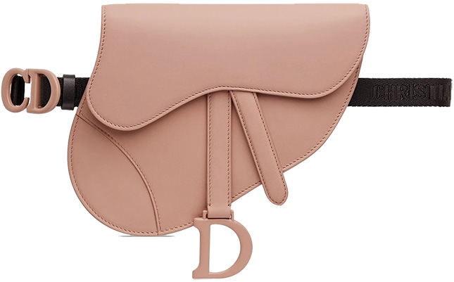 Dior Saddle Flat Belt Pouch | Bragmybag