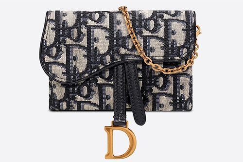 Dior  JADIOR Wallet on Chain Bag  All The Dresses