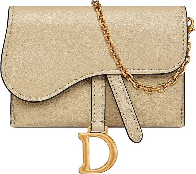 dior saddle pouch with chain