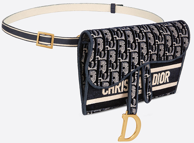 dior pouch saddle