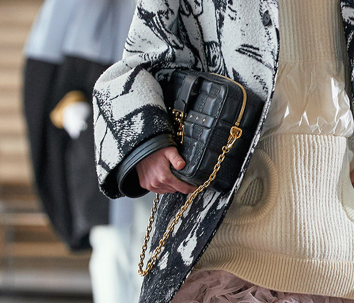 New Louis Vuitton Collection Fall/Winter 2021 Handbags Wild at