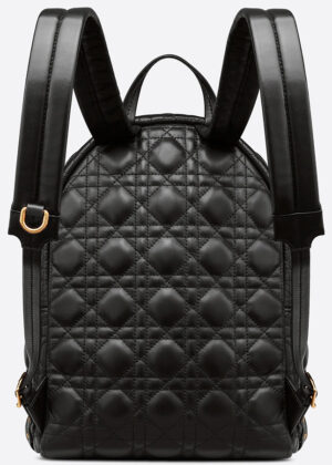 dior backpack mens