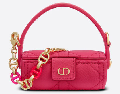 Dior Caro Lipstick Bag | Bragmybag