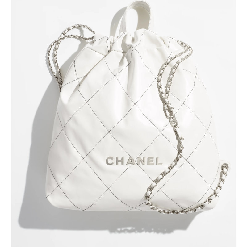 Chanel Cruise 2023 Seasonal Bag Collection