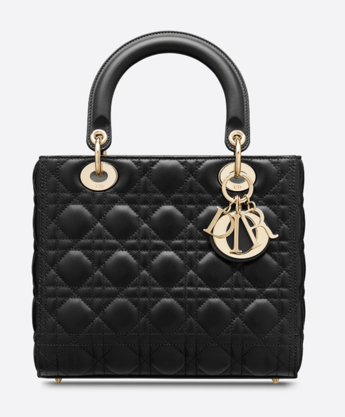 THE ICONIC LADY DIOR - Bags