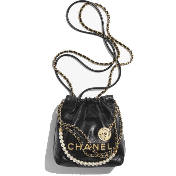 3 Best Chanel Bags 2023 EditorTested  Reviewed Chanel Bags