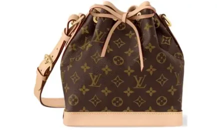 Louis Vuitton Noe BB Bag in Monogram Canvas Featured image