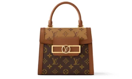 Louis Vuitton Dauphine Capitale Bag in Reversed Monogram Featured image