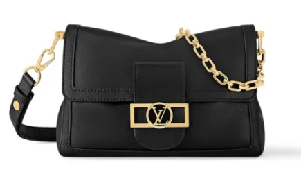 Louis Vuitton Dauphine Soft MM Bag in Calfskin Featured image